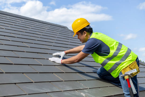 Roof Gutter Cleaning in Swisher, IA