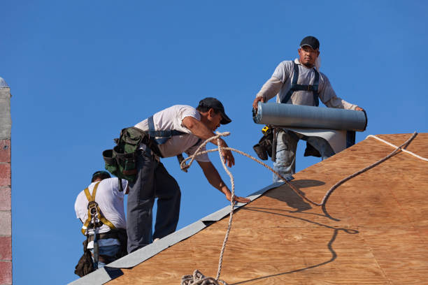 Best Roof Gutter Cleaning  in Swisher, IA